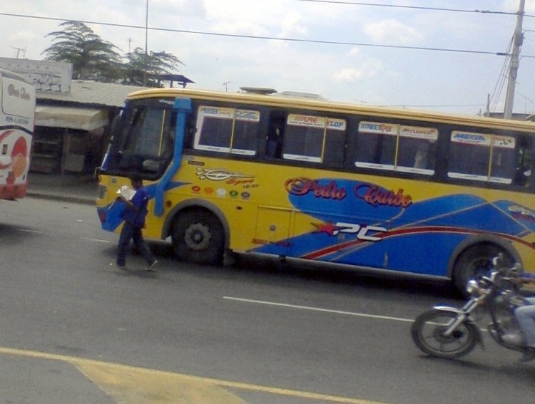 Marcopolo Viaggio en Pedro Carbo
Palabras clave: Marcopolo Viaggio