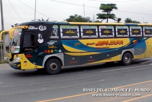 Picosa en VolksBus 17-210 OD
