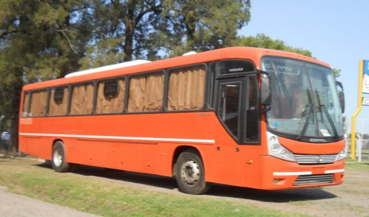 COMIL VERSATILE (en Argentina)
Palabras clave: particular