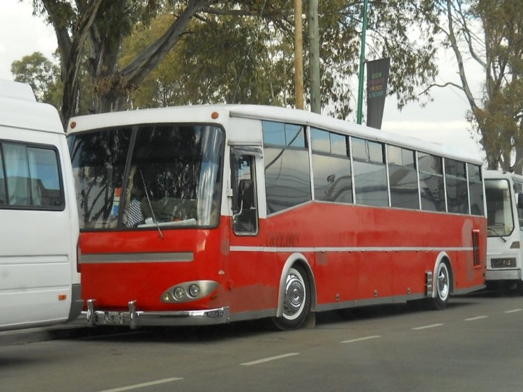 PARTICULAR
Palabras clave: particular