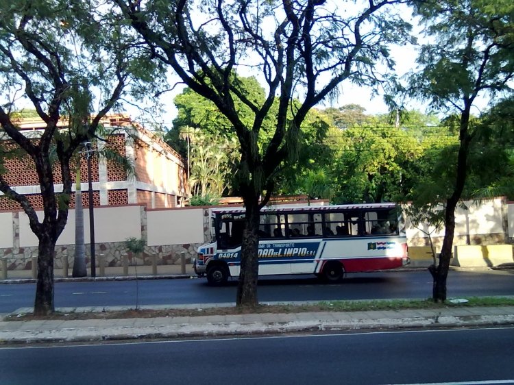 Mercedes-Benz L 709 - San Fernando - Ciudad de Limpio S. R. L.
Fotografía: Saiyan

