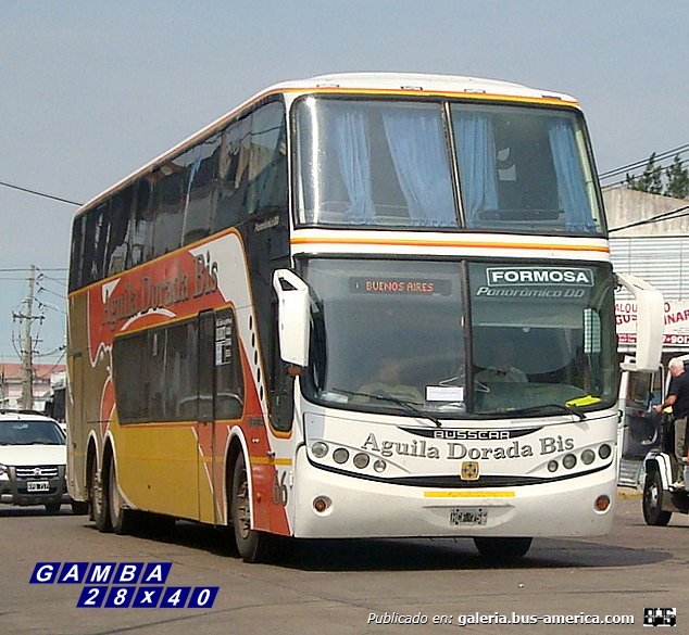 Volvo - Busscar (en Argentina) - Águila Dorada Bis
HCF 755
Interno 66
Coche con un esquema de pintura poco común

Colección: Gamba 28x40
Palabras clave: Gamba / Larga