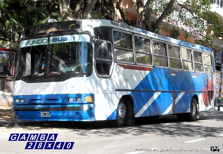 Mercedes-Benz OHL 1420 - T.A.L.P. - Particular
BNC 557
Ex interno 34 de la línea 338

Colección: Gamba 28x40
Palabras clave: Gamba / 338