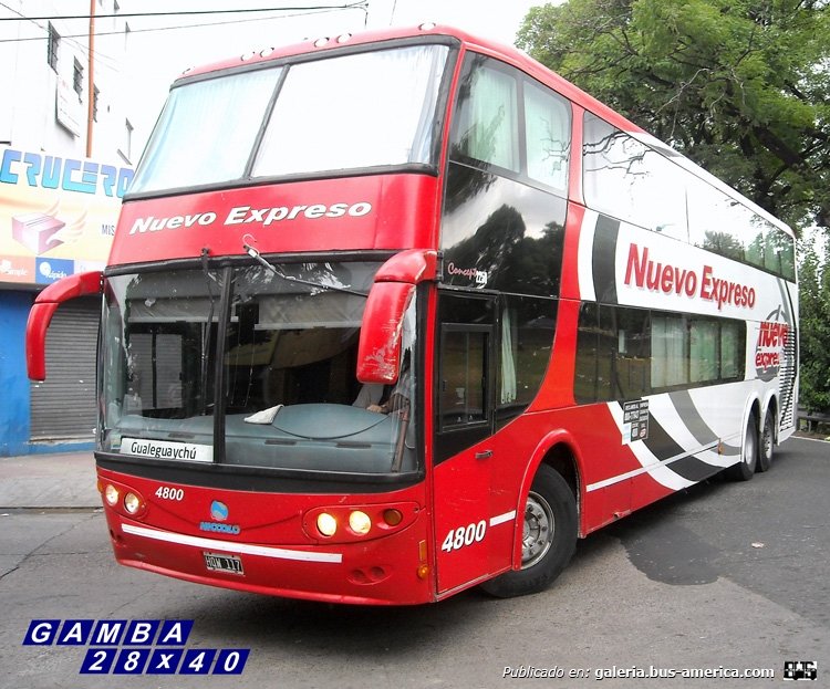Mercedes-Benz O-500 RSD - Niccoló - Nuevo Expreso 
HQW 117
Interno 4800

Colección: Gamba 28x40
Palabras clave: Gamba / Larga