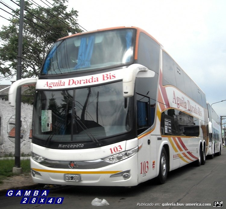 Mercedes-Benz O-500 RSD - Marcopolo (en Argentina) - Águila Dorada Bis
NTG 200
Interno 103

Colección: Gamba 28x40
Palabras clave: Gamba / Larga