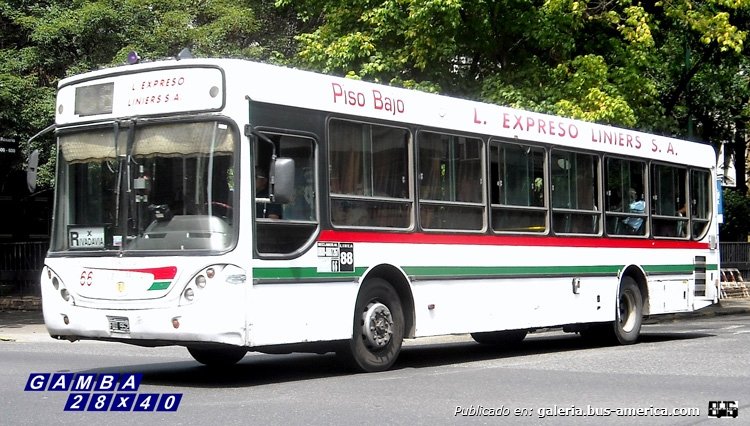 Mercedes-Benz O-500 U - Ugarte - L.E. Liniers
FQI 952
Línea 88 - Interno 66

Colección: Gamba 28x40
Palabras clave: Gamba / 88