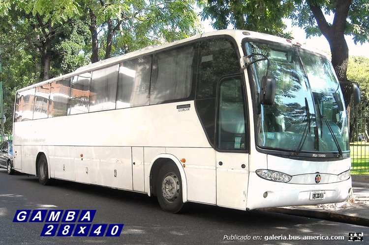 Mercedes-Benz O-500 - Marcopolo (en Argentina) - Particular
HJM 537

Colección: Gamba 28x40
Palabras clave: Gamba / Larga