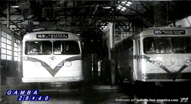 Leyland Royal Tiger - M.C.W. (en Argentina) - T.B.A.
Línea 169
Después de darse una ducha
(Datos de izquierda a derecha)

Captura de un video publicado por DiFilm
Colección: Gamba 28x40
Palabras clave: Gamba / TBA