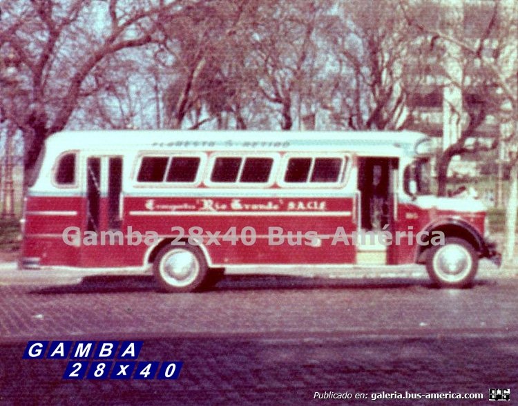 Chevrolet (G.M.A.) - Serra - Transportes Río Grande
Línea 5

Colección: Gamba 28x40
Palabras clave: Gamba / 5