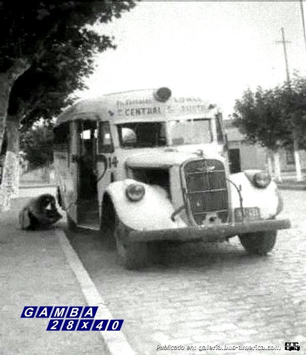 Chevrolet (G.M.C.) - Puletti - Empresa General Roca
Línea 223 (luego 54) - Interno 14

Fotografía: Autor desconocido
Publicada a la venta en Mercado Libre

http://galeria.bus-america.com/displayimage.php?pid=41498
Palabras clave: Gamba / 54
