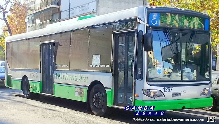 T.A.T.S.A.  Puma D 12 - La Central de Vicente López [Misión Buenos Aires]
MAS 284
[url=https://galeria.bus-america.com/displayimage.php?pid=46408]https://galeria.bus-america.com/displayimage.php?pid=46408[/url]

Línea 114 (Buenos Aires) - Interno 1267
Ex líneas 61 & 62 (Buenos Aires) - Interno ¿?

Fotografía: Gamba 28x40
Palabras clave: Gamba / 114