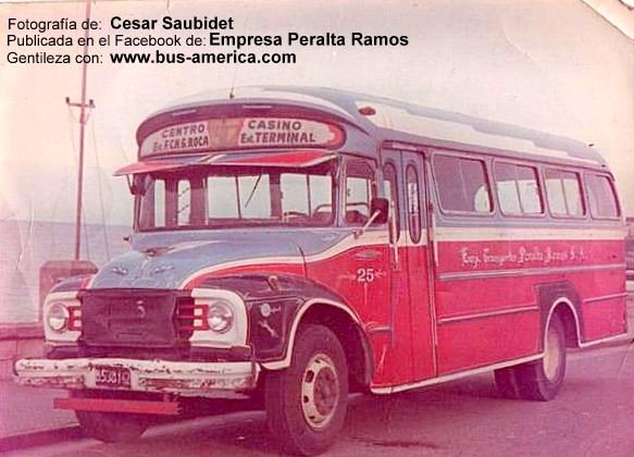 Bedford J6LZ1 - La Maravilla - Empresa Peralta Ramos
B.538152
Fotografía de: Cesar Saubidet
Publicada en el Facebook de: Empresa Peralta Ramos

Palabras clave: Gamba / Peralta