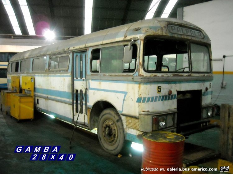 Scania Vabis - Cametal - Ex Coop. Matorras
Y 008189 - XJW 412
Próximo a ser restaurado

Colección: Gamba 28x40

http://galeria.bus-america.com/displayimage.php?pid=11882
Palabras clave: Gamba / Larga