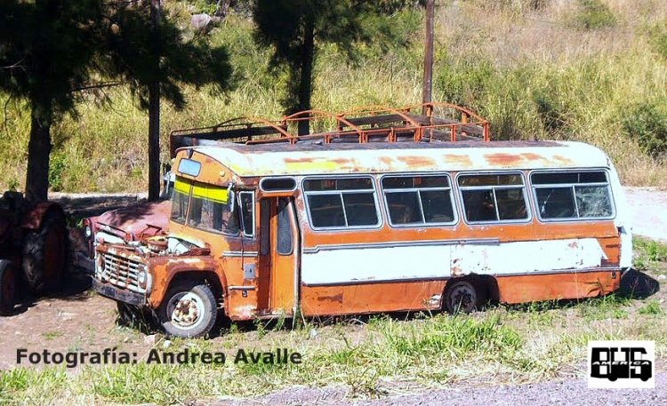 Ford (F.M.A.) - A.L.A.
Fotografía: Andrea Avalle
Extraída de Panoramio
Palabras clave: Gamba / ALA