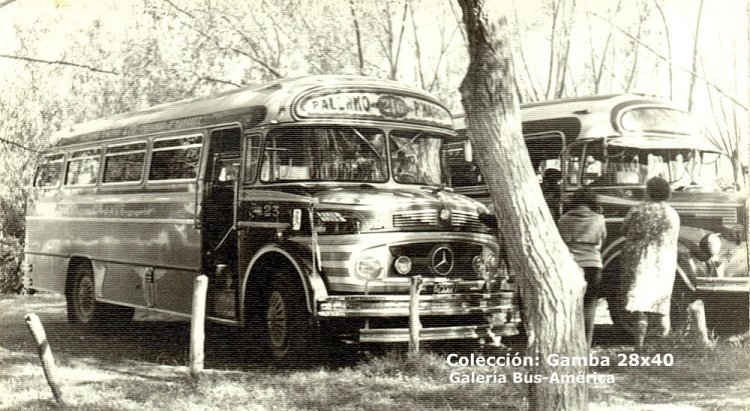 Mercedes-Benz LO 1112 - A.L.A. - Empresa Línea 216
B 233027
Línea 216 - Interno 23
Un particular modelo de A.L.A., tiene ventilete de diseño más actual, ventanillas de modelo anterior y lo más curioso, no posee puerta trasera, que al momento de su fabricación era de uso obligatorio. Posiblemente por tratarse de un coche perteneciente a una línea provincial, estaba fuera de dicha disposición 

Colección: Gamba 28x40
Palabras clave: Gamba / 166