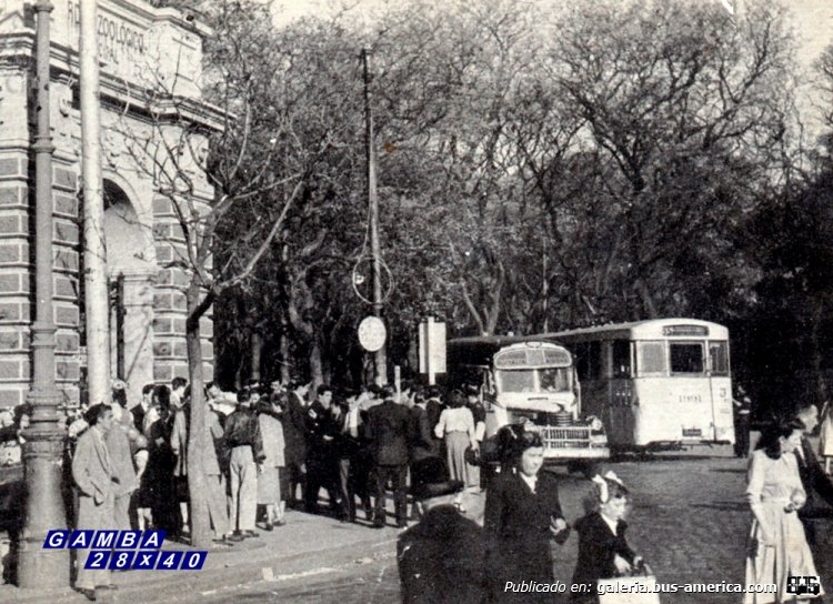 Chevrolet (G.M.C.) - El Trébol - Micro Ómnibus Norte
Línea 60 - Interno 5
(Datos de izquierda a derecha)

Copia de una tarjeta postal
Colección: Gamba 28x40
Palabras clave: Gamba / 60