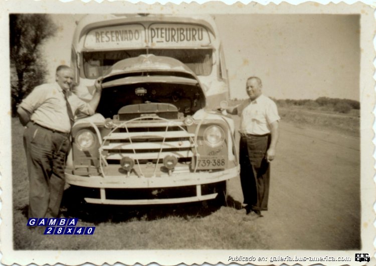 Bedford D5LZ1 - Agosti
Provisoria
739-388

Fotografía: Autor desconocido
Colección: Gamba 28x40

Los invito a conocer la historia de esta carrocería en:
[url=https://www.bus-america.com/ARcarrocerias/Agosti/Agosti-histo.php]Historia de Carpitnería y Carrocería A. y C. Agosti[/url]
Palabras clave: Gamba / Agosti