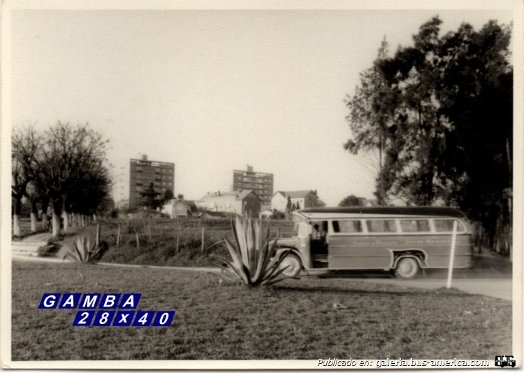 Bedford (G.M.A.) - La Maravilla - Jorge Newbery
Línea 5 (luego 183) - Interno 18

Fotografía: Autor desconocido
Colección: Gamba 28x40
Palabras clave: Gamba / 183