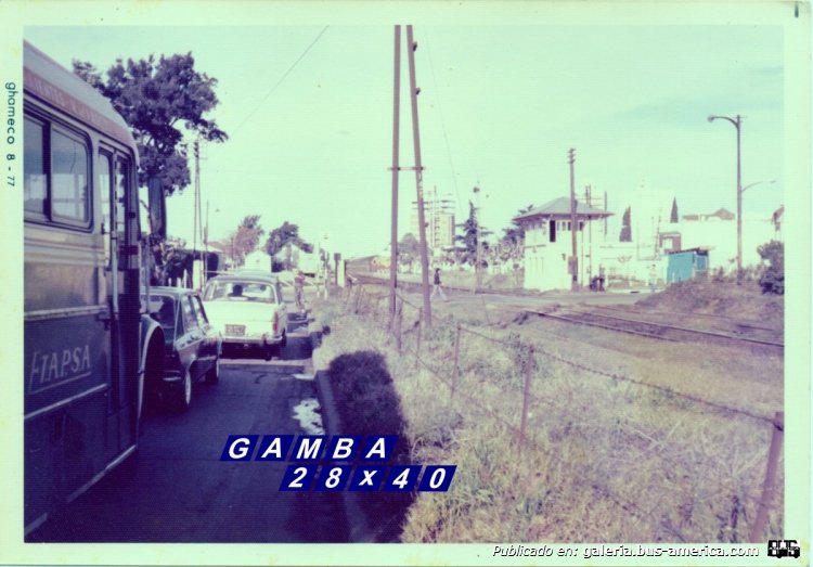 Mercedes-Benz LO 911 - A.L.A. - E.T.A.P.S.A.
Línea 24

Fotografía: Autor desconocido
Colección: Gamba 28x40
Palabras clave: Gamba / 24