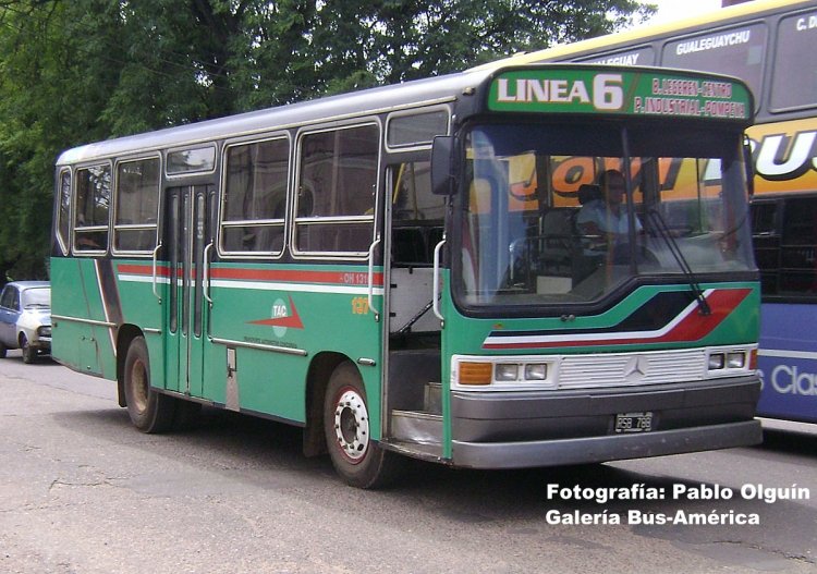 Mercedes-Benz OH 1316 - Ottaviano - T.A.C.
B 2632057 - RSB 788
Línea 6 - Interno 137

Fotografía: Pablo Olguín
Palabras clave: Gamba / Concordia
