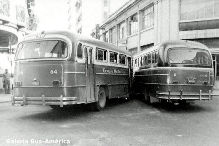 Mercedes-Benz LO 911 - Costa Brava - Expreso Quilmes
Línea 98 - Interno 84
(Datos de izquierda a derecha)

Fotografía extraída de www.mercadolibre.com.ar
Palabras clave: Gamba / 98