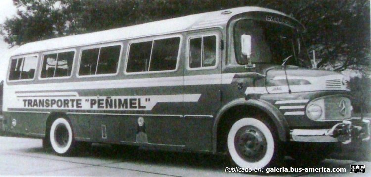 Mercedes-Benz LO 1112 - La Carrocera Del Sud - Peñimel
Interno 3

Fotografía: La Carrocera del Sud
Publicada en la revista "Industria Carrocera Argentina"
Palabras clave: Gamba / Larga