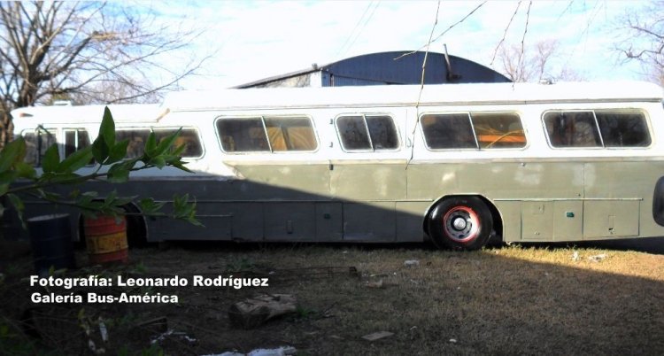 Leyland Royal Tiger - Cametal - Particular
C 210734 - WVH 255
Este es el "Bebé" de nuestro nuevo forista, Leonardo
Rodríguez, esta en proceso de restauración

Fotografía: Leonardo Rodríguez

http://galeria.bus-america.com/displayimage.php?pos=-28899
http://galeria.bus-america.com/displayimage.php?pos=-28900
http://galeria.bus-america.com/displayimage.php?pid=39203
Palabras clave: Gamba / Larga