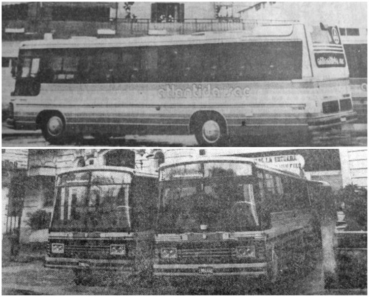 Mercedes-Benz LO 1114 (frontalizado) - Cametal - Atlántida
Línea 57
Nota periodística con motivo del ingreso de estas unidades a la flota

Fotos: Diario La Prensa
Colección: Arcuri - Deluca
Palabras clave: Gamba / 57