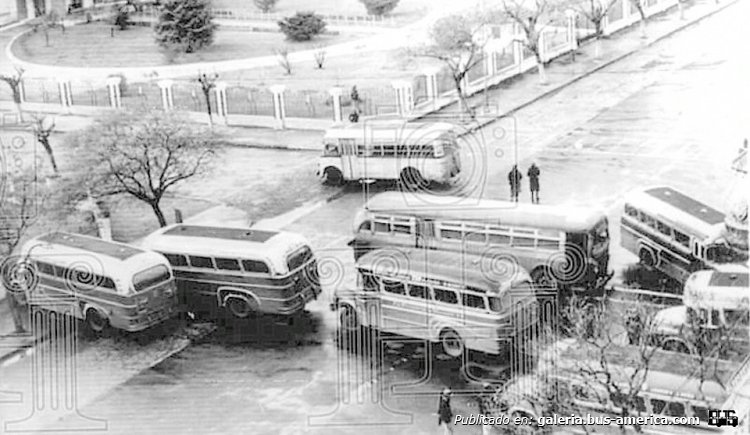 Bedford J6LZ1 (G.M.A.) - Caseros - La Primera de Munro
Línea 230 (Buenos Aires - luego 130)
Varios coches de diversas empresas oficiando de retén
Se encuentran frente a la Escuela de Mecánica de la Armada
Se aprecian de izquierda a derecha, dos coches de la línea 29, Pedro de Mendoza, El Cóndor y El Indio, un ómnibus Mack, un Isotta Fraschini, puede ser de la línea 405 (luego 156) y arriba izquierda un L 312 Luna. Tomo como protagonista al del centro, que se identifica mejor

Fotografía: Agencia de noticias APW
Palabras clave: Gamba / 130
