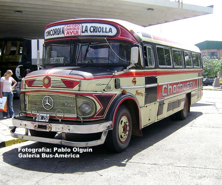 Mercedes-Benz LO 1112 - Biglia - Chamussy
E 083699 - VAK 250
[url=https://galeria.bus-america.com/displayimage.php?pid=2900]https://galeria.bus-america.com/displayimage.php?pid=29001[/url]
[url=https://galeria.bus-america.com/displayimage.php?pid=29344]https://galeria.bus-america.com/displayimage.php?pid=29344[/url]


Micro Ómnibus Ayuí
Línea Concordia-La Criolla - Interno 4

Fotografía: Pablo Olguín
Palabras clave: Gamba / Concordia