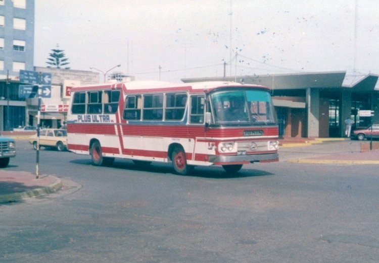 Mercedes-Benz O-140 - D.I.C. - Plus Ultra
Línea 361 (Prov. Buenos Aires), Interno 2

Archivo: Pablo Olguín
Palabras clave: Gamba / Plus