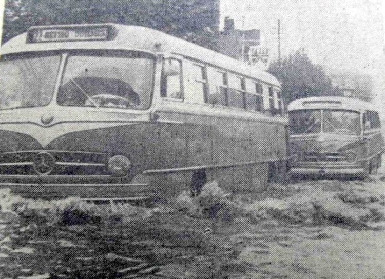 Mercedes-Benz O-321 HL (en Argentina) - T.T.A.
Recorte de un periódico
Colección J Arcuri - A A Deluca
Palabras clave: Gamba / 22