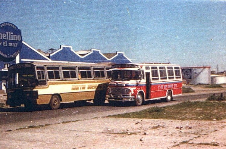 Mercedes-Benz LO 1114 - Suyai 2000 - T 25 De Mayo
(Datos de derecha a izquierda)

Fotografía: Osvaldo Abner
Gestión: Pablo Olguín
Palabras clave: Gamba / 25 Mayo