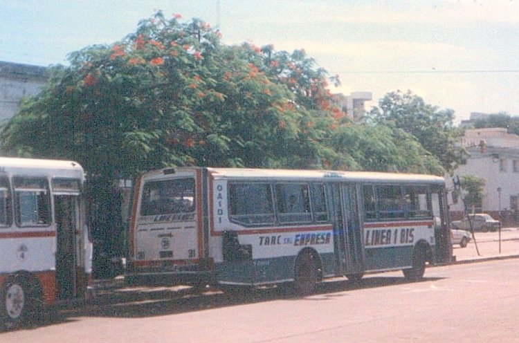 El Detalle OA 101 - El Detalle - T.A.R.C. S.R.L.
Empresa Línea 1 Bis - Interno 31

Archivo: Pablo Olguín
Palabras clave: Gamba / 1bis