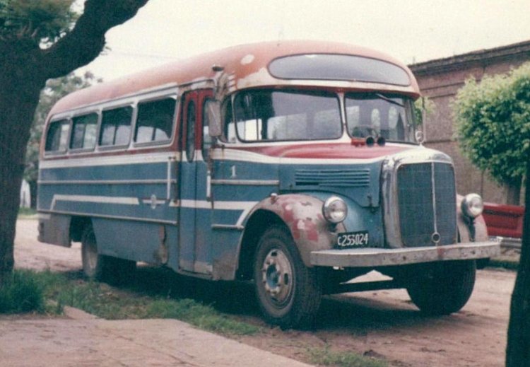 Mercedes-Benz L 312 - Alcorta - Particular
C 253024
Ex ¿? - Interno 1

Fotografía: Aldo M Daneri
Archivo: Osvaldo Abner
Gestión: Pablo Olguín
Palabras clave: Gamba / 312