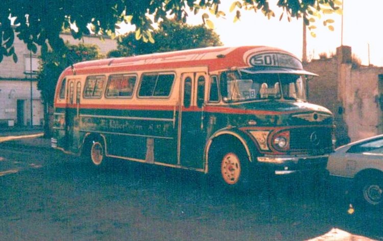 Mercedes-Benz LO 1114 - El Indio - El Libertador
Línea 501 - Interno 11

Fotografía: Osvaldo Abner
Gestión: Pablo Olguín
Palabras clave: Gamba / 501