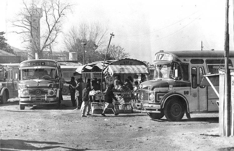 Mercedes-Benz LO 1114 - ALA (Prima) - Larrazábal
Línea 117 - Interno 18

Fotografía extraída de www.mercadolibre.com
Palabras clave: Gamba / 117
