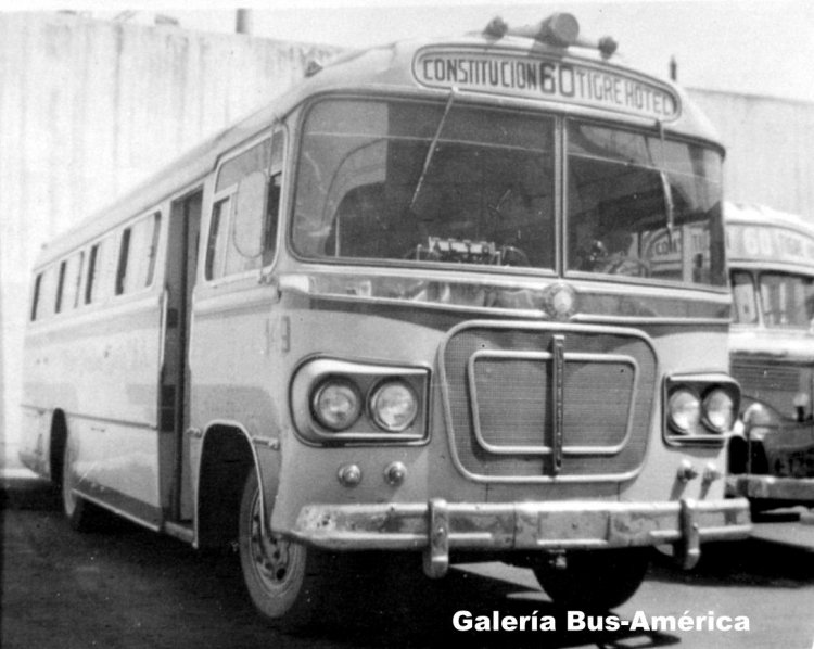 Mercedes-Benz OP 312 - Cametal - M.O.N.S.A.
Línea 60 - Interno 149

Fotografía: Autor desconocido
Archivo: Osvaldo Abner
Gestión: Pablo Olguín
Palabras clave: Gamba / 60