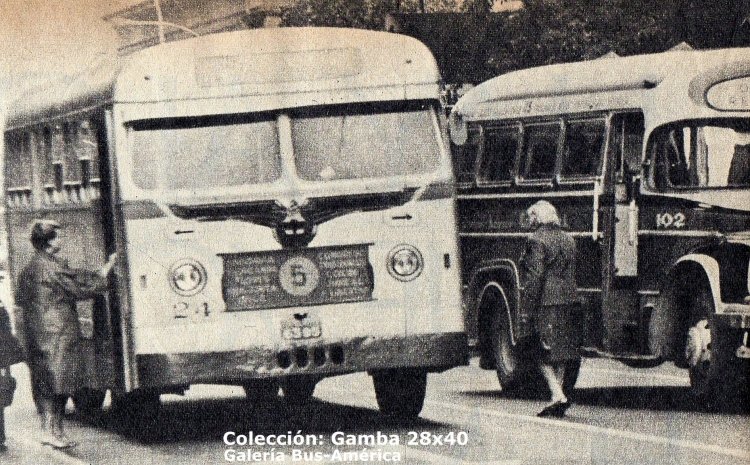 Leyland Olympic - M.C.W. (en Argentina) - Transportes Floresta
6395
Línea 5 - Interno 24
Esta empresa se destacaba por agregar los destinos de sus líneas en el bajo frente de sus coches

Fotografía: Autor desconocido
Colección: Gamba 28x40
Palabras clave: Gamba / 5