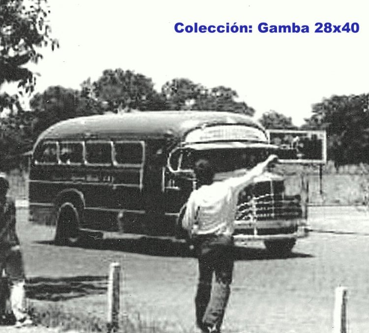 Mercedes-Benz L 312 - La Favorita 
Palabras clave: Gamba / Favo