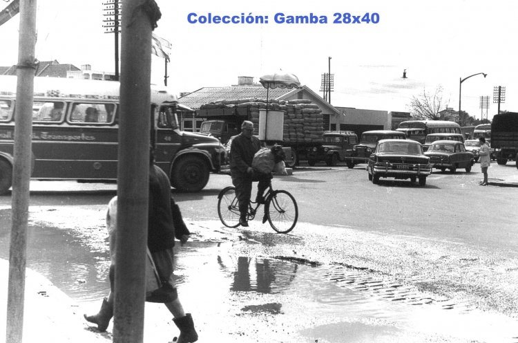 Bedford - Caseros - Sargento Cabral
Linea 182 - Interno 40

Foto: M E Giordano
Colección: Gamba 28x40
Palabras clave: Gamba / 182