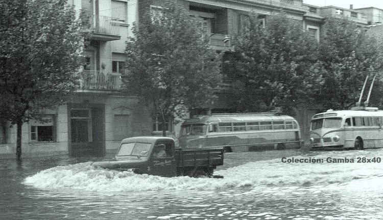 Mercedes-Benz O-321 HL (en Argentina) - Transportistas Asociados 1° De Mayo
Línea 14
(Datos de izquierda a derecha)

Foto: Mateo E Giordano
Colección: Gamba 28x40
Palabras clave: Gamba / 14