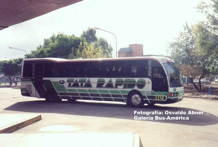 Scania K 112 - D.I.C. 3.40 - Tata Rápido
Interno 09

Fotografía: Osvaldo Abner
Gestión: Pablo Olguín
Palabras clave: Gamba / Rosario