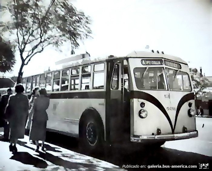 Westram W 40 (en Argentina) - C.T.C.B.A.
Línea A - Interno 5016

Fotografía: Autor desconocido
Publicada en venta en "ebay"
Palabras clave: Gamba / Trole