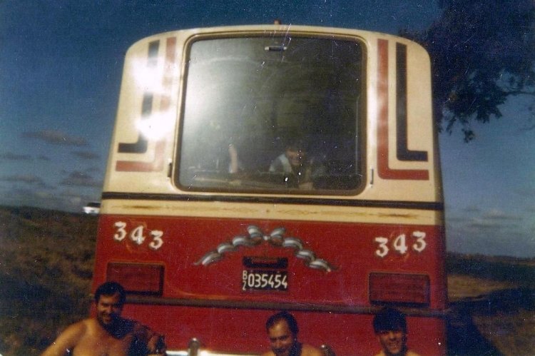 Mercedes-Benz LO 1114 - Bi-Met - Empresa Línea 216
B 2035454
Línea 269 - Interno 343
A partir de 1985 Bi-Met decidió aggiornarse y realizar sus lunetas de manera 
semiciega, como ya lo hacía San Miguel y ALA. Para esta época salían de 
fabrica de las dos maneras: Semiciega y la clásica de 3 vidrios, con el de los 
costados mas chico que el del medio. 
Hubo 5 o 6 cortes de pintura que realizó entre 1985 y 1989 cuando se 
discontinuó el LO 1114. Este fue uno de los primeros, y tal vez el menos difundido. 
En la "216", gran compradora de Bi-Met, hubo solo 2 o 3 con este corte de pintura. 
