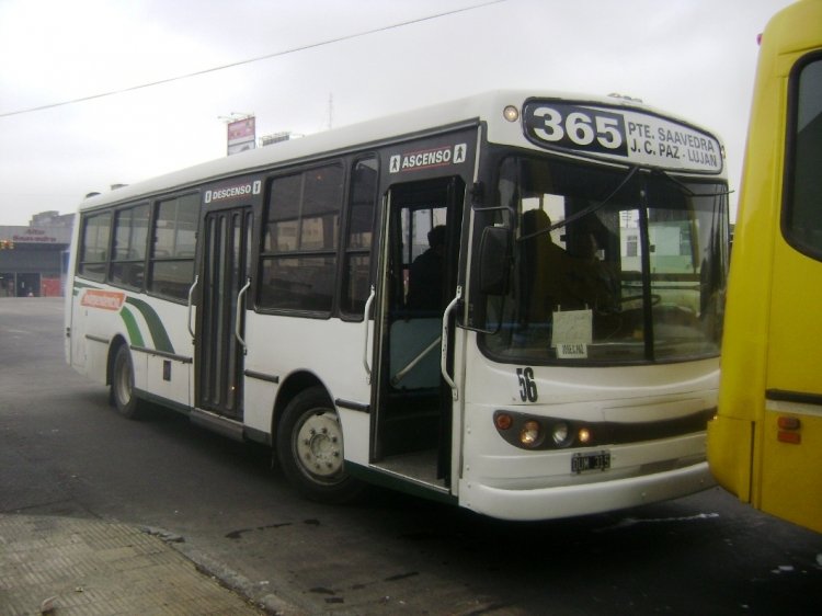 Mercedes-Benz OH 1115 L - M.O.Q.S.A. - Independencia Metropolitana
DUM 315
Línea 365 - Interno 56
Primerísimos tiempos de Independencia Metropolitana. 
Coches ex Linea 159 en servicio en la nueva Linea 365. 
En este caso, el ex interno 161 de la 159. En su parte trasera y debido 
al poco espacio solo entro la palabra "Independencia" . 
13 de Octubre de 2008, Puente Saavedra.

http://galeria.bus-america.com/displayimage.php?pos=-27475
