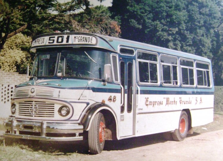 Mercedes-Benz LO 1114 - González - Empresa Monte Grande
B21267xx
Línea 501 - Interno 48
Época de 1114´s, con el corte completo y no simplificado al de hoy, 
este González esta sobrio y hermoso a la vez. 
Foto cedida por la empresa.
