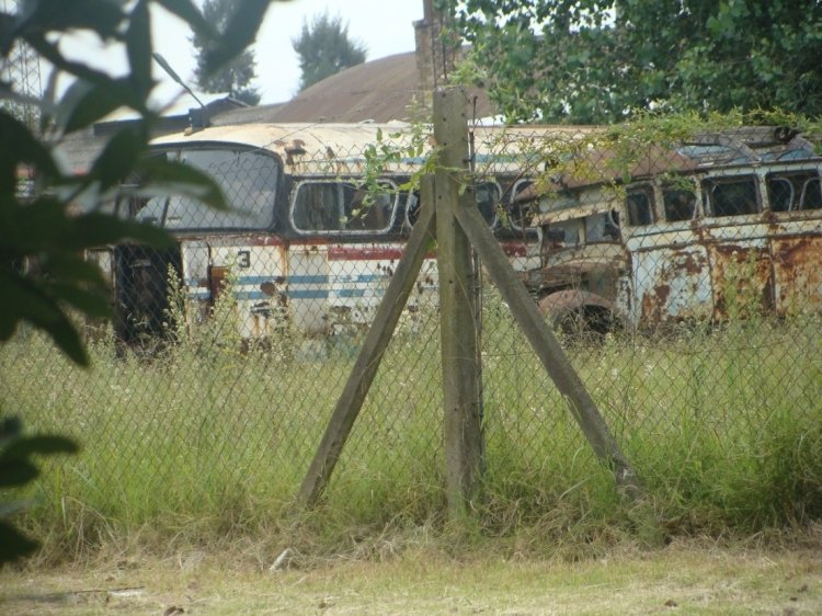 Chevrolet (G.M.C.) 1946 - Cardinali y Capiatti
Incognita
Los fondos de Ecotrans, en Merlo. Se ven 4 o 5 unidades viejas, entre ellas estos dos. Yo no reconozco nada, se lo dejo a ustedes.

[Datos de derecha a izquierda]
