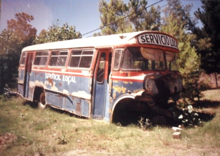 Mercedes-Benz - A.L.A. - Servicio Urbano de Monte Hermoso
Linea Servicio Urbano de Monte Hermoso - Sin Interno
ALA 1975
En Enero de 2006, no hanía servicio local en la ciudad balnearia de Monte Hermoso. Este Ala carrozado en 1975, estaba tirado en las cercanias del Camping Municipal No puedo precisar las fechas entre las cuales circuló ese servicio, que hoy volvió de la mano de la empresa X BUS

http://galeria.bus-america.com/displayimage.php?pid=32953
