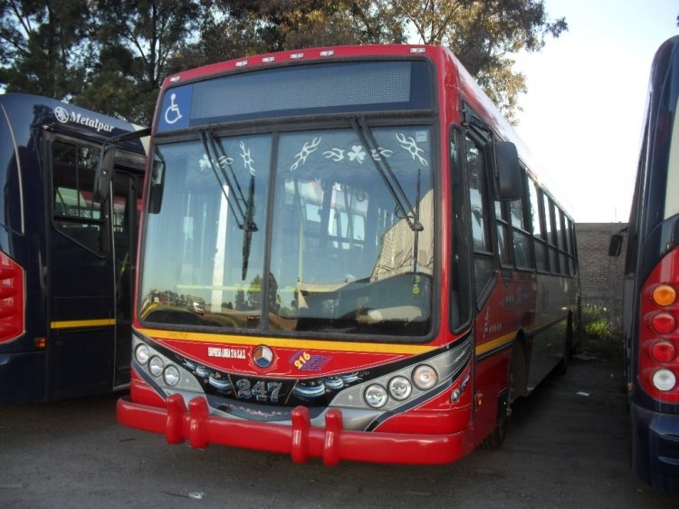 Mercedes-Benz OH 1618 L - Metalpar - Empresa Línea 216
Línea 395 - Interno 247
Otro número de interno que no se utilizaba desde hace años, 
cuando el Ei-Var OF 1215 (ex interno 254) salió de circulación. 
Hoy vuelve de la mano de este arregladisimo Metalpar. 
El numero de chapa del interno solo lo tiene en la trompa. A los 
costados y culata están fileteados.
